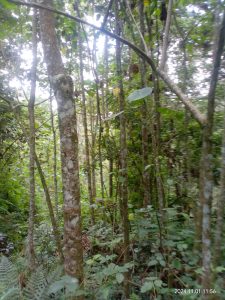 Environment 